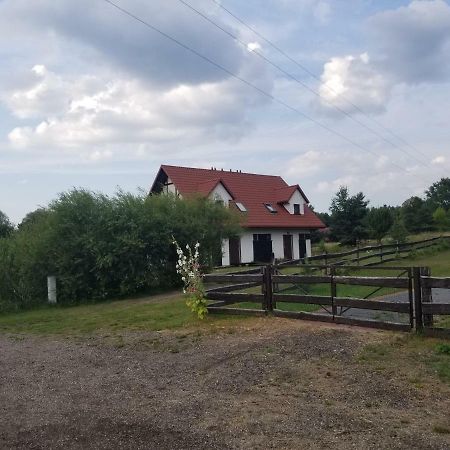 Ferienwohnung Mazury Apartament Zakatek Salpia B Prażmowo Exterior foto